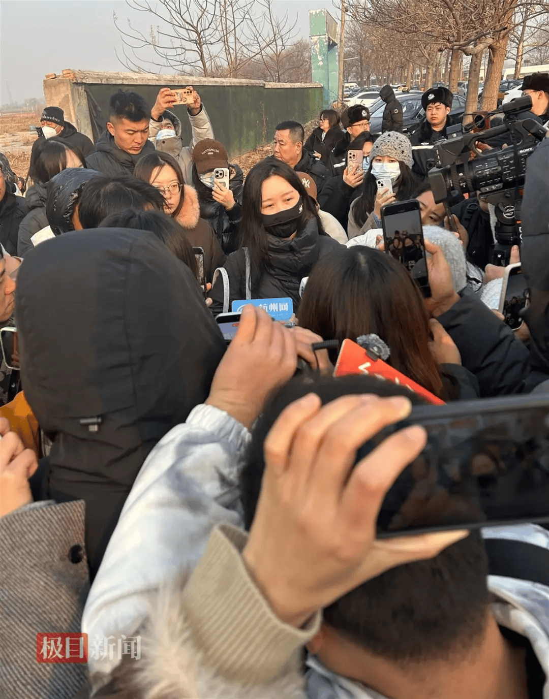 在小区投毒致9条狗死亡<strong></p>
<p>柚子币走势</strong>,男子获刑4年!