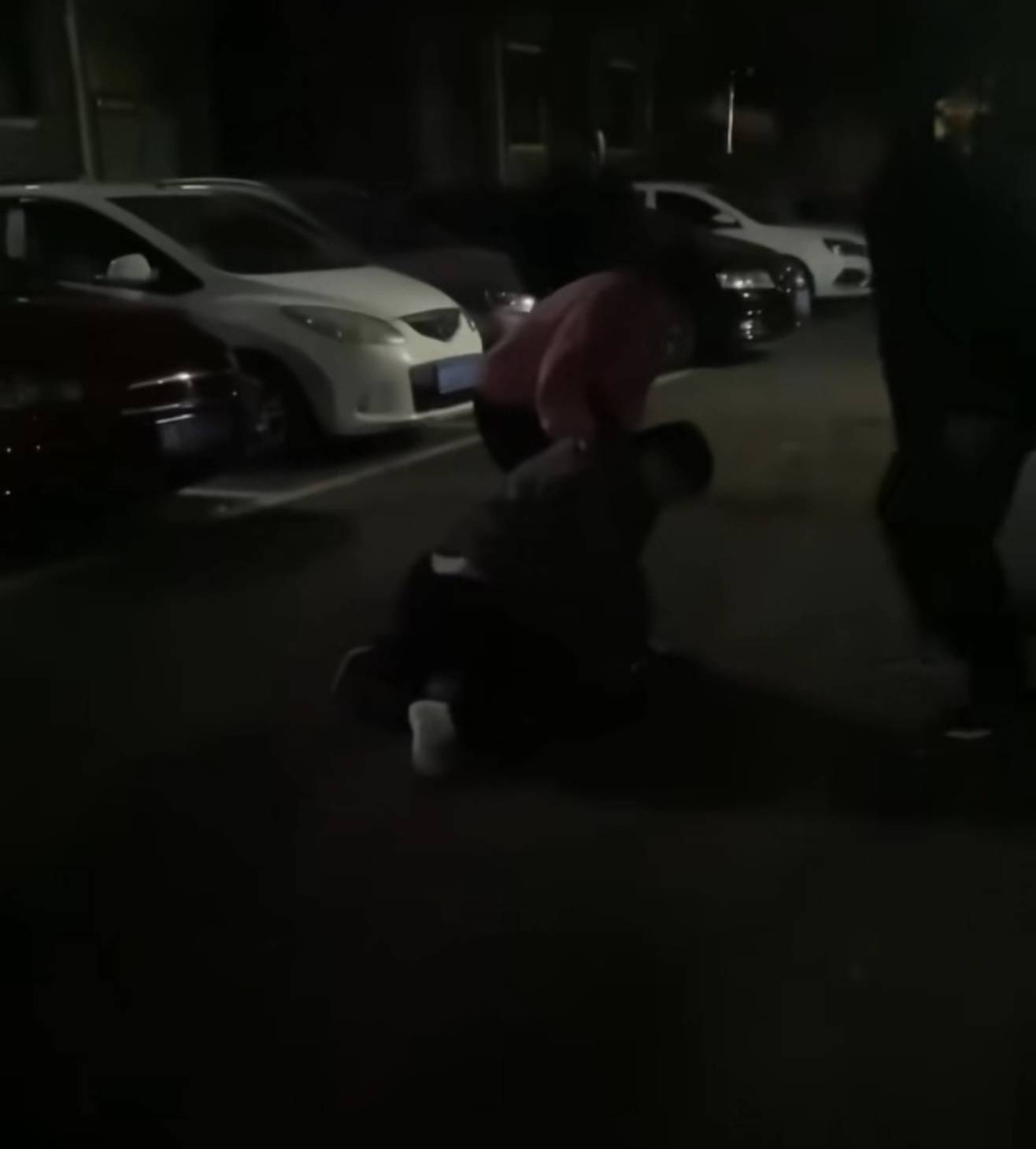 株洲女子夜间遭同小区大狗扑咬,男子从二楼冲下死死摁住肇事狗,众居民:一定要表扬他