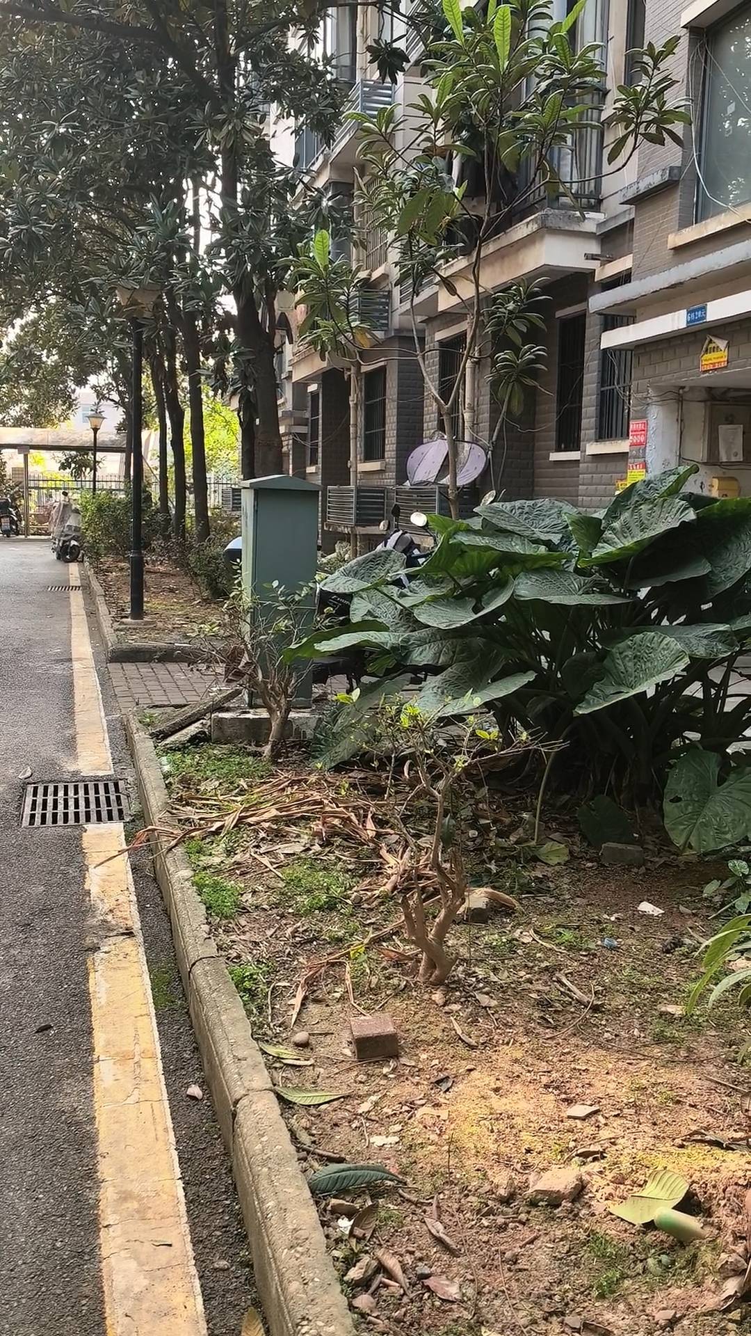 株洲女子夜间遭同小区大狗扑咬<strong></p>
<p>柚子币走势</strong>,男子从二楼冲下死死摁住肇事狗,众居民:一定要表扬他