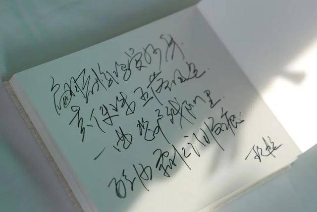 何晴之子追思：妈妈很喜欢雪<strong></p>
<p>一元月亮币</strong>，北京这场雪好像是为她而下