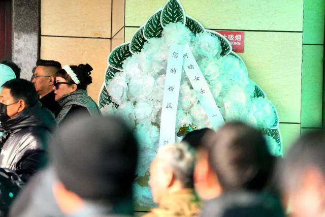 何晴之子追思：妈妈很喜欢雪<strong></p>
<p>一元月亮币</strong>，北京这场雪好像是为她而下