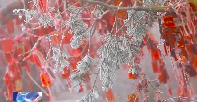 我国已经进入拉尼娜状态<strong></p>
<p>一元月亮币</strong>,专家:可能出现冬春连旱