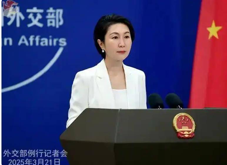 岩崎茂被中方采取反制措施:他被称为“最突出的亲美派”,系日本防务重量级人物,3月被台湾聘为顾问