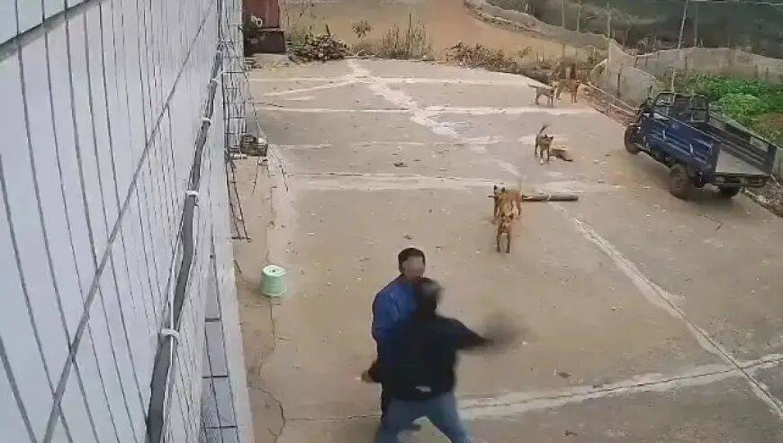 男子家门口吃橘子被邻居一拳打昏<strong></p>
<p>炒币大师</strong>，警方通报：因养狗问题起冲突，均有受伤