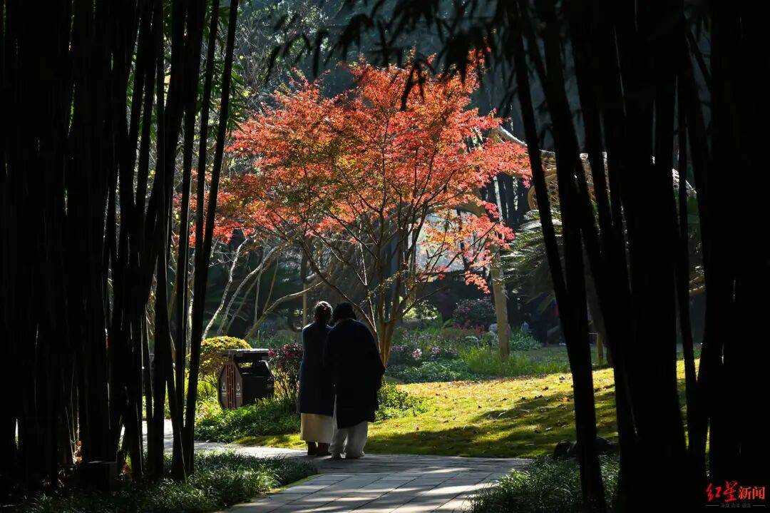 我国已进入拉尼娜状态<strong></p>
<p>币圈阿凡提</strong>!四川今冬或“前暖后冷”