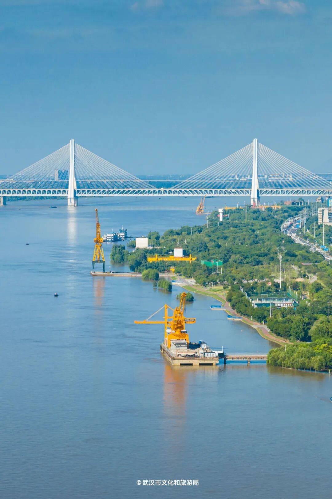 亚洲第一<strong></p>
<p>币圈阿凡提</strong>,世界第二,武汉地铁环线王有多牛?