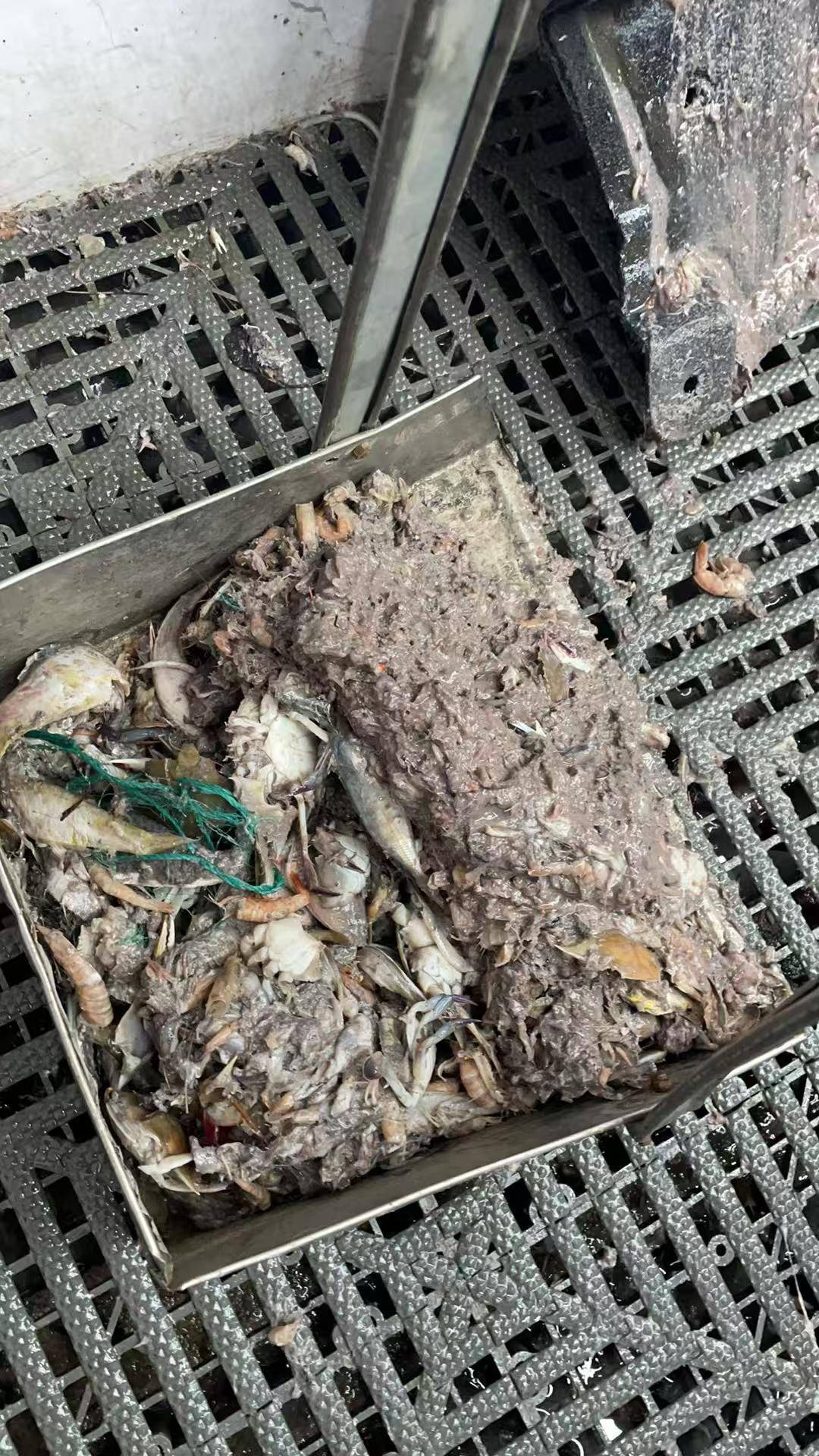 紫牛头条|40余车辆遭高速海鲜废料“臭袭”<strong></p>
<p>ela币行情</strong>,交警称“非交通事故”,车主维权陷两难