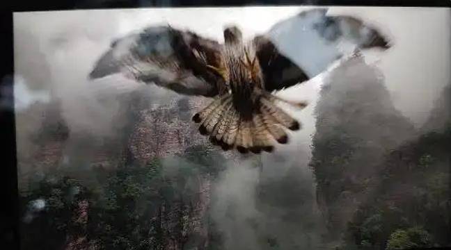 土耳其老鹰空中抓走无人机<strong></p>
<p>币链网</strong>，带上山顶“玩自拍”