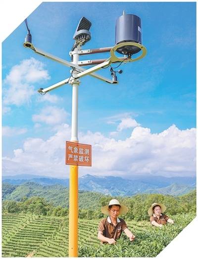 坚持“双碳”引领<strong></p>
<p>看币圈</strong>，推动全面绿色转型（稳中求进、提质增效 实现“十五五”良好开局）