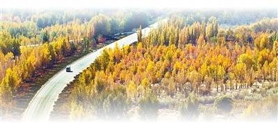 坚持“双碳”引领<strong></p>
<p>看币圈</strong>，推动全面绿色转型（稳中求进、提质增效 实现“十五五”良好开局）