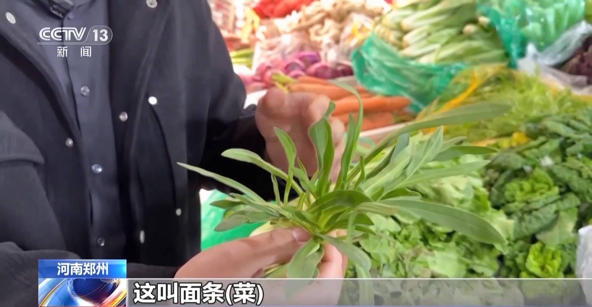 蒸、煎、拌、酿……一口鲜菜如何“锁”住春天<strong></p>
<p>交易系统网</strong>？