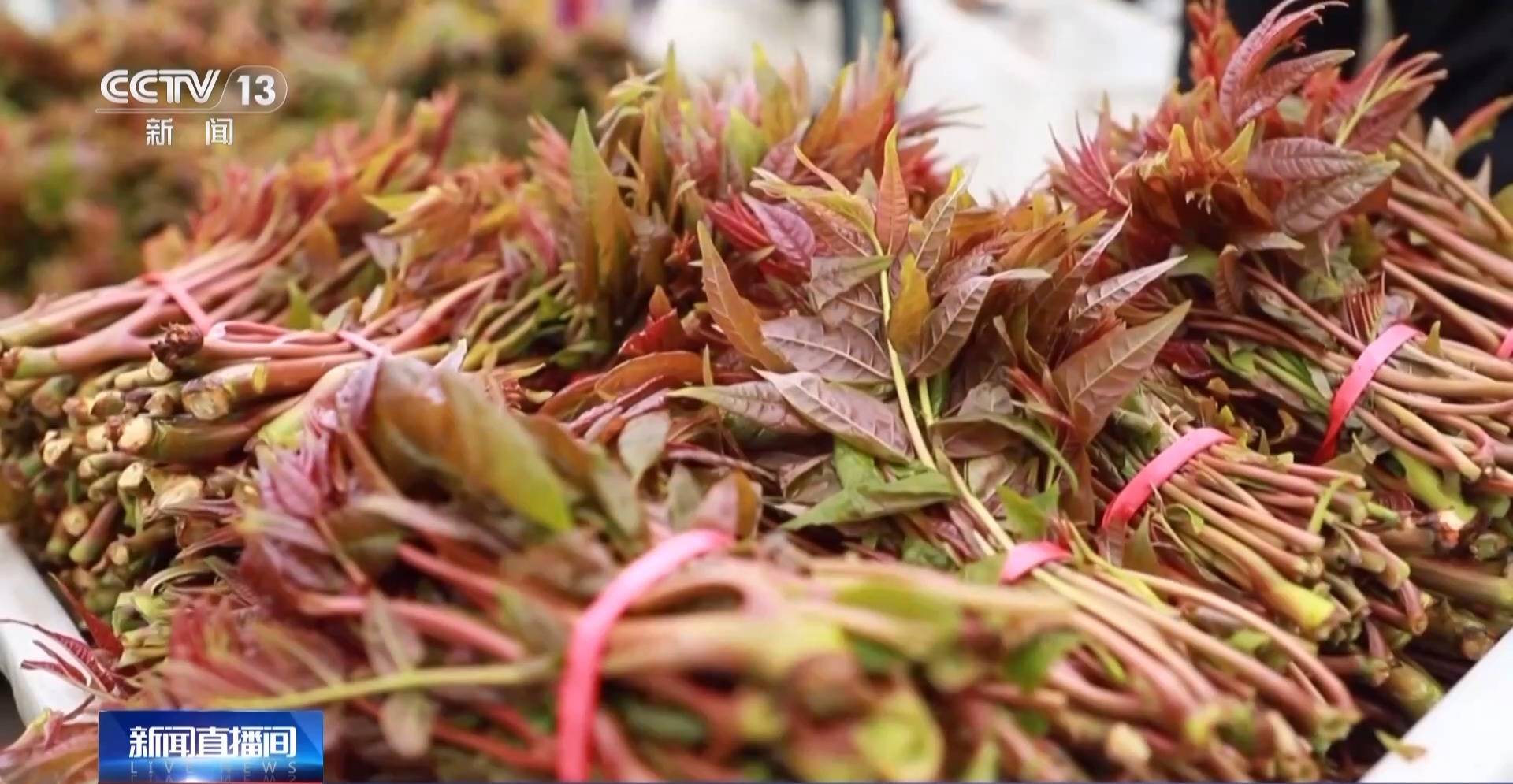 蒸、煎、拌、酿……一口鲜菜如何“锁”住春天<strong></p>
<p>交易系统网</strong>？